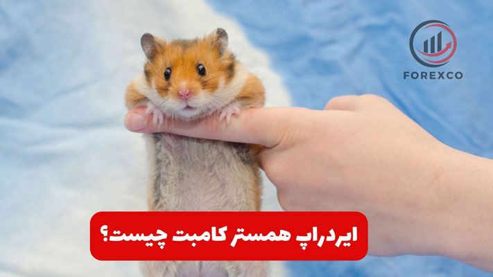 ایردراپ همستر (Hamster Airdrop)