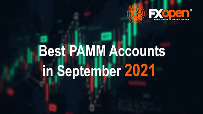 آموزش حساب pamm اف ایکس اوپن